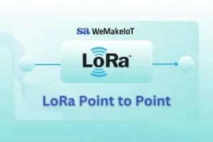 Lora-p-to-p
