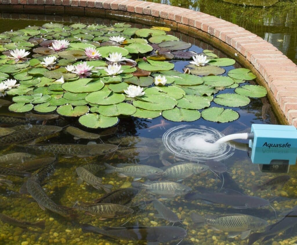 Aquaponics